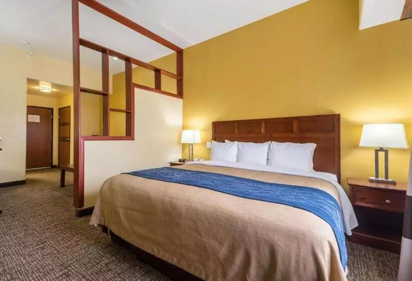 בית מלון כפרי Comfort Inn & Suites