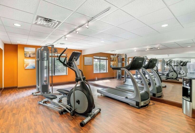 ホテル Comfort Suites At Westgate Mall