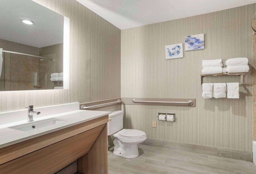 ホテル Comfort Suites At Westgate Mall