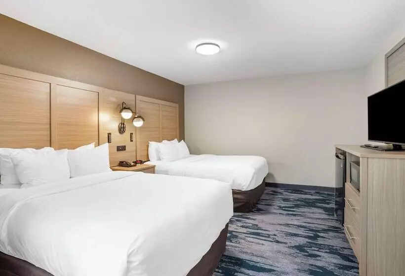 호텔 Comfort Suites At Westgate Mall