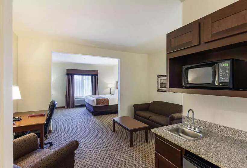 Otel Comfort Suites San Antonio North  Stone Oak