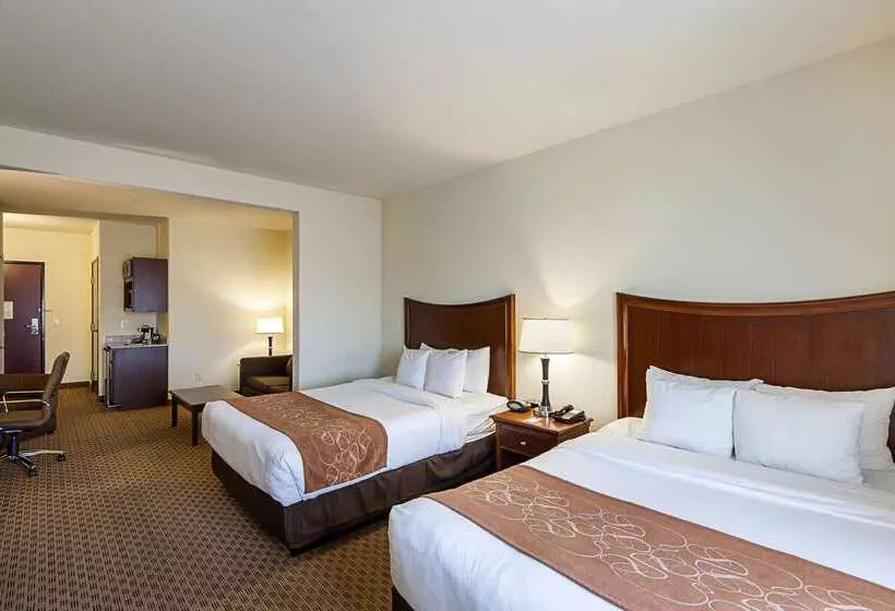 Otel Comfort Suites San Antonio North  Stone Oak