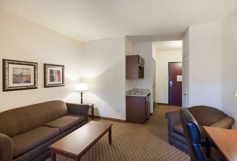 هتل Comfort Suites San Antonio North Stone Oak