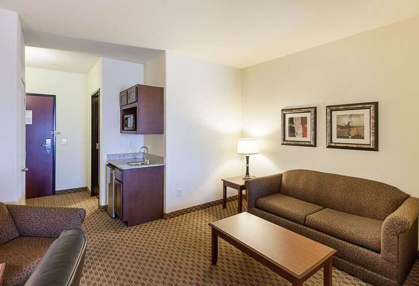 هتل Comfort Suites San Antonio North Stone Oak