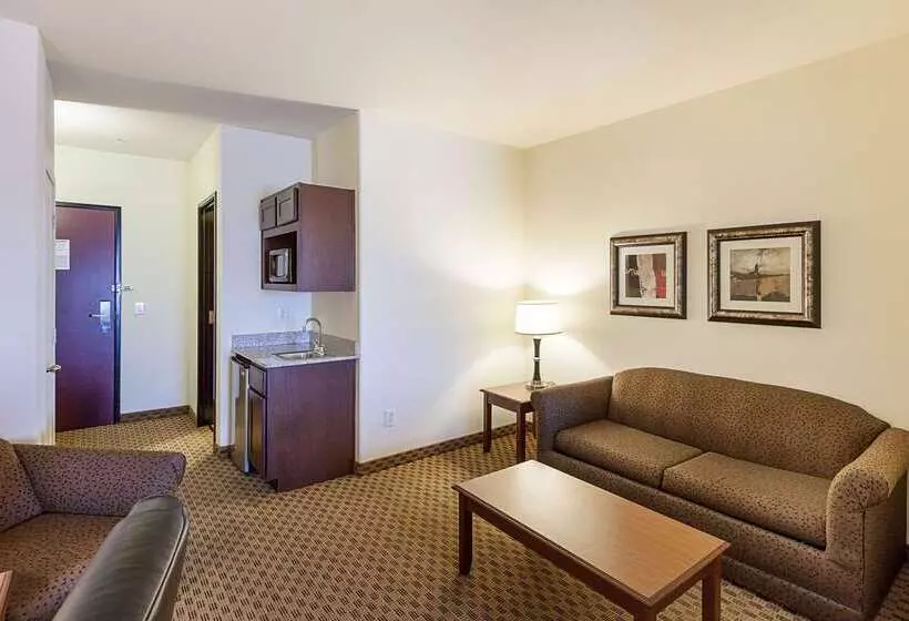 Otel Comfort Suites San Antonio North  Stone Oak
