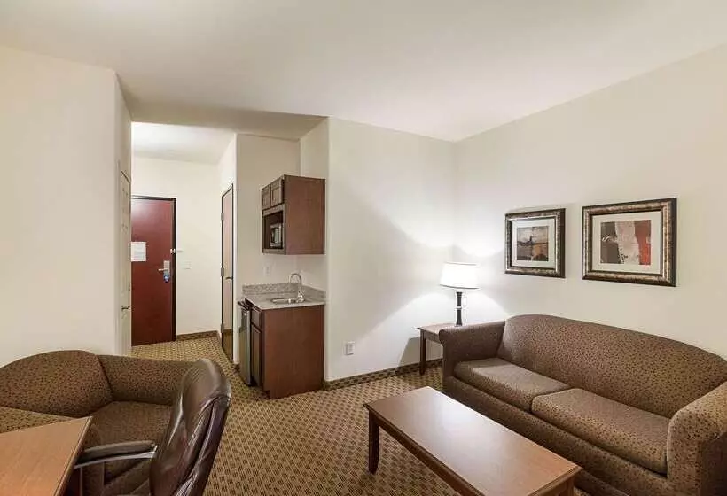 Otel Comfort Suites San Antonio North  Stone Oak
