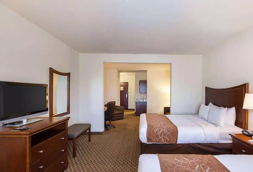 Otel Comfort Suites San Antonio North  Stone Oak