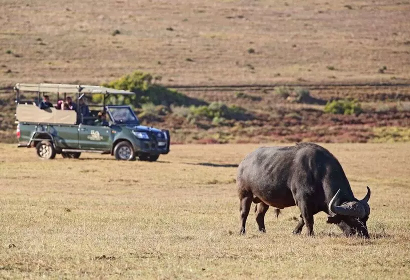 酒店 Garden Route Game Lodge