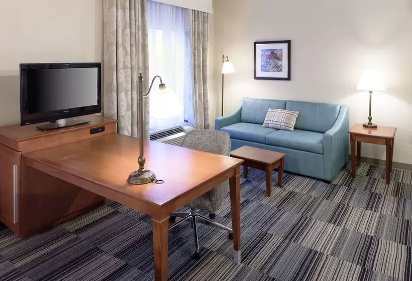 فندق Hampton Inn & Suites Colorado Springs/i25 South