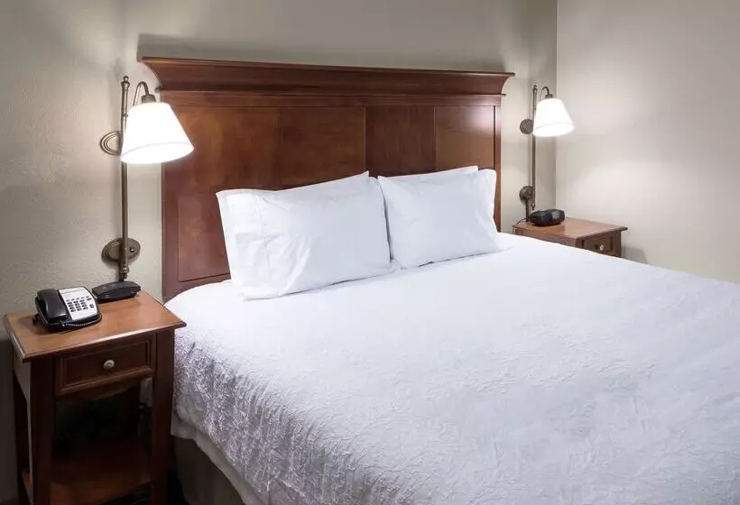 فندق Hampton Inn & Suites Colorado Springs/i25 South