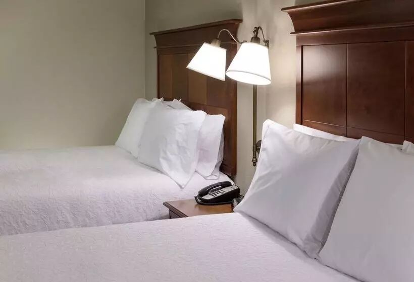 فندق Hampton Inn & Suites Colorado Springs/i25 South