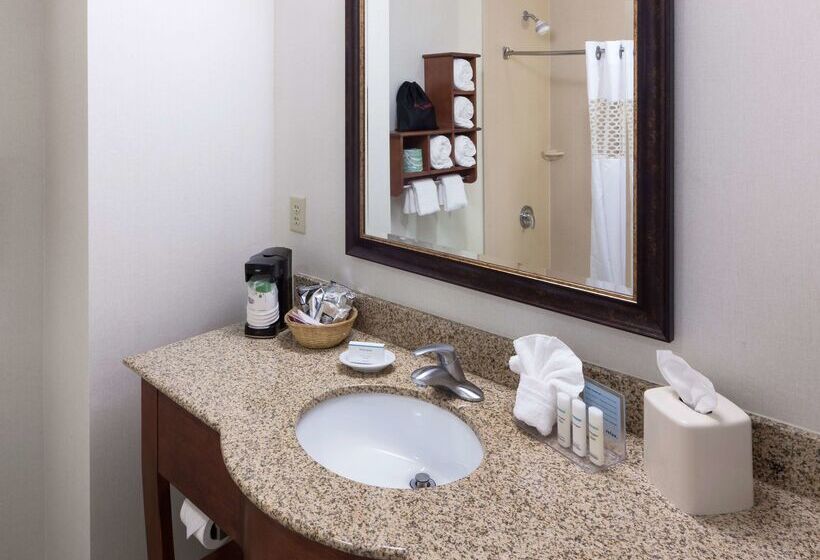 هتل Hampton Inn & Suites Colorado Springs/i25 South