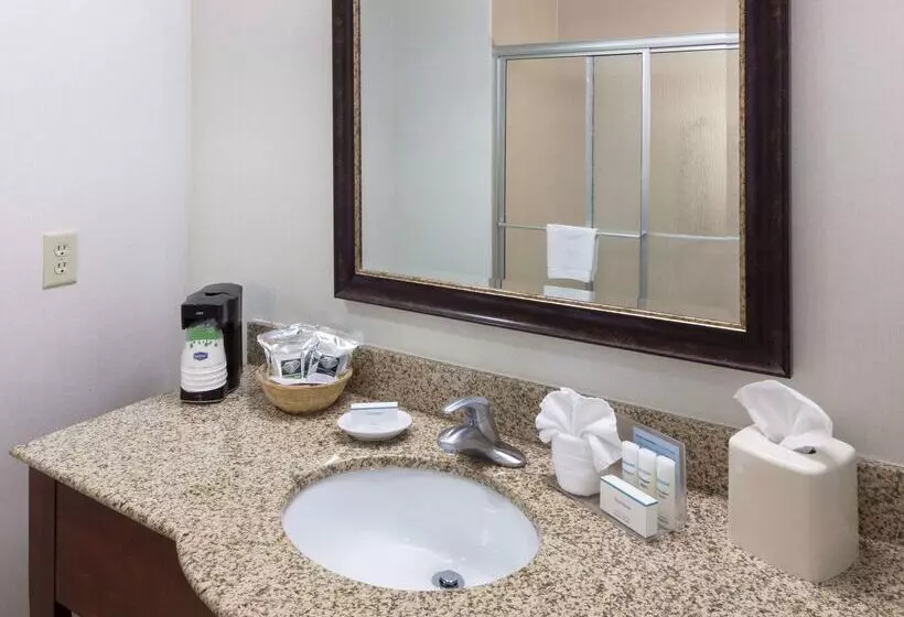 فندق Hampton Inn & Suites Colorado Springs/i25 South