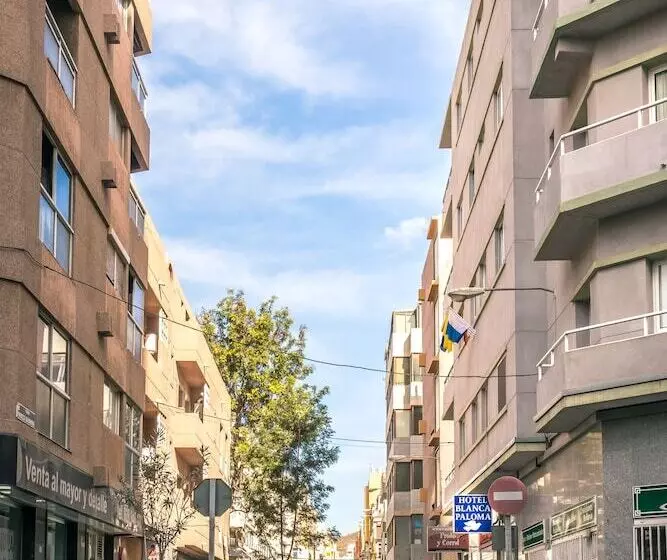 Otel Le Petit Palü Las Palmas