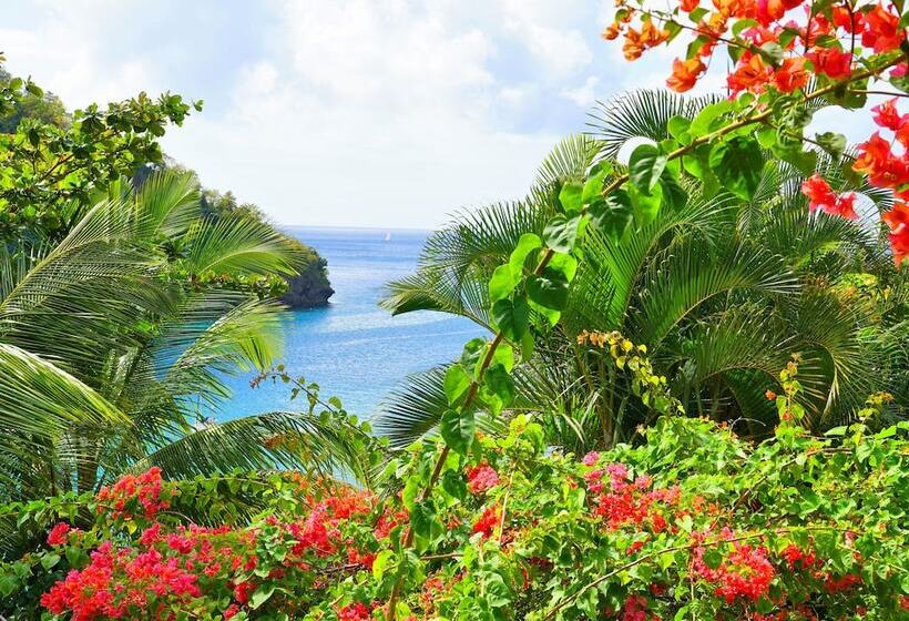 هتل Marigot Beach Club And Dive Resort