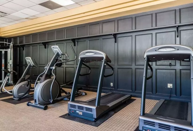 בית מלון כפרי Quality Suites Central