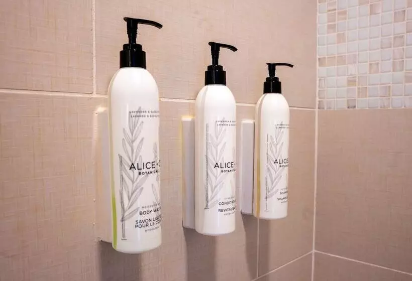 בית מלון כפרי Springhill Suites By Marriott Savannah Downtown Historic District