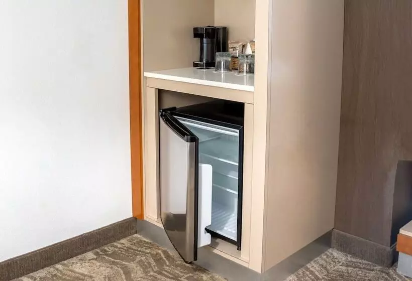 בית מלון כפרי Springhill Suites By Marriott Savannah Downtown Historic District