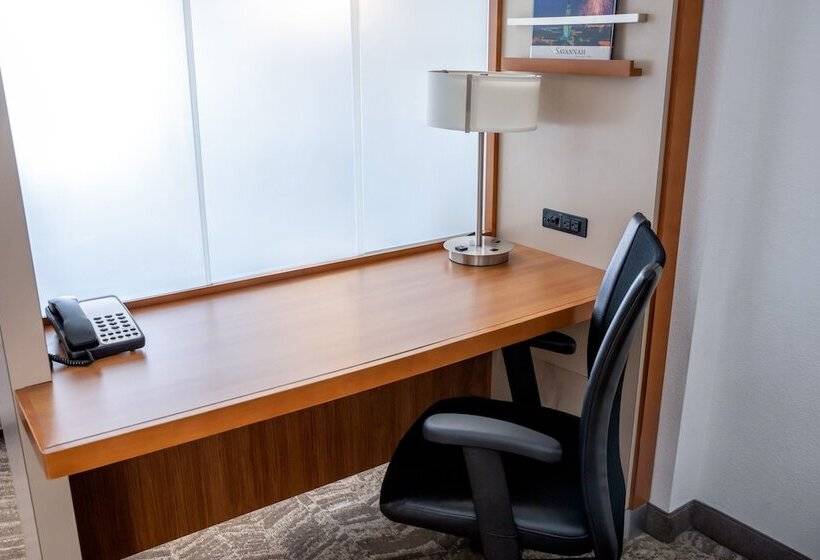 فندق Springhill Suites By Marriott Savannah Downtown Historic District