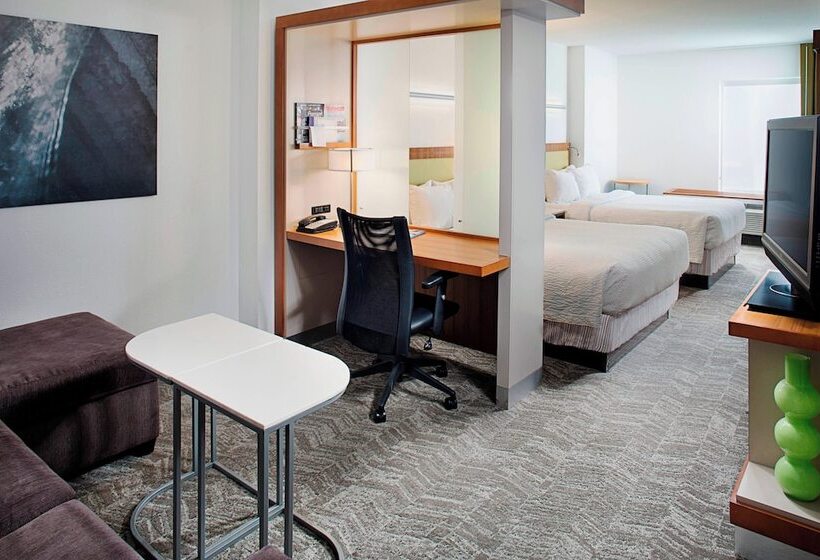 فندق Springhill Suites By Marriott Savannah Downtown Historic District