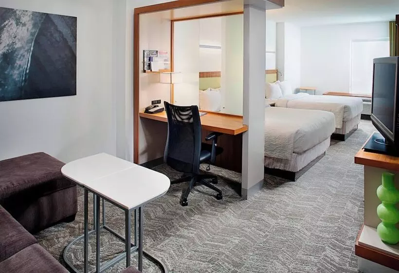 בית מלון כפרי Springhill Suites By Marriott Savannah Downtown Historic District