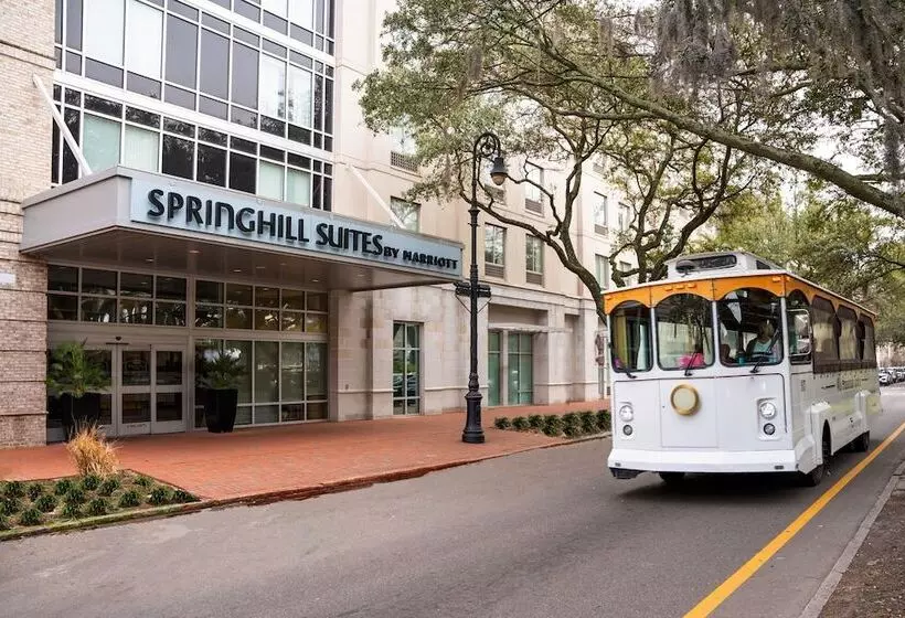 בית מלון כפרי Springhill Suites By Marriott Savannah Downtown Historic District