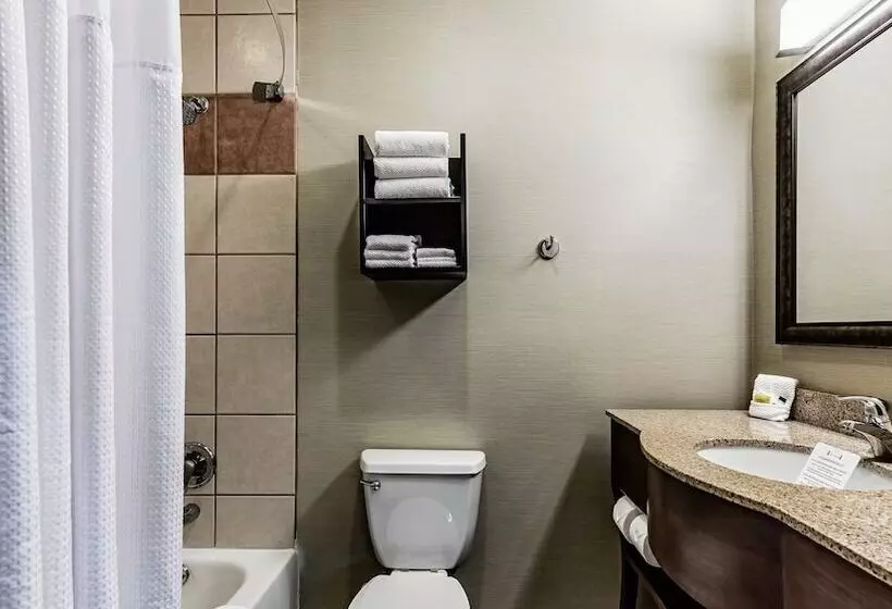 ホテル Staybridge Suites Laredo, An Ihg