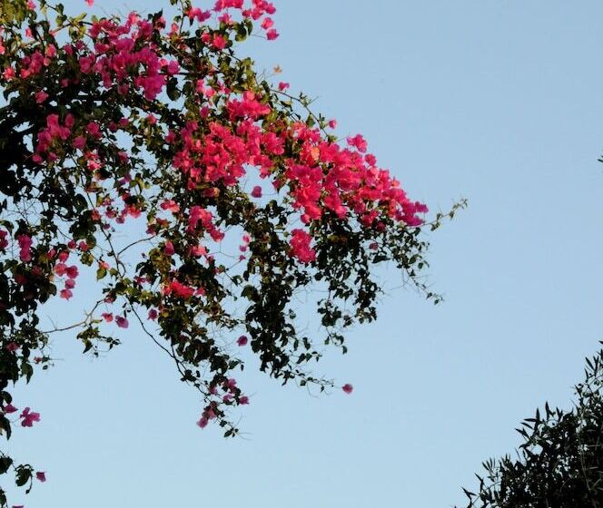 Hersonissos Village Hotel & Bungalows