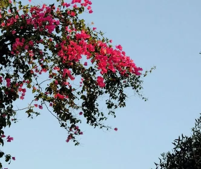 Hersonissos Village Hotel & Bungalows