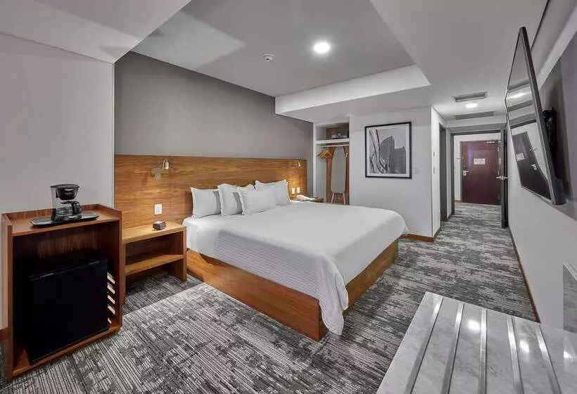 Отель Wyndham Garden Mexico City Polanco