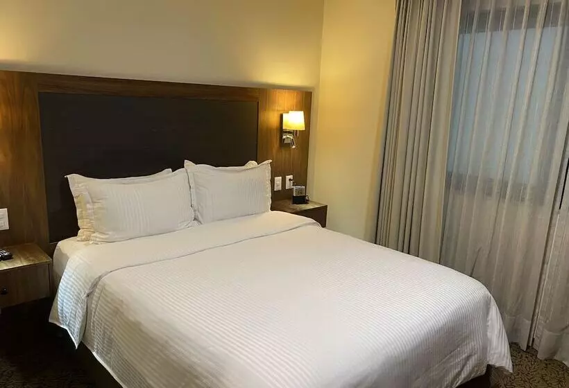 Отель Wyndham Garden Mexico City Polanco