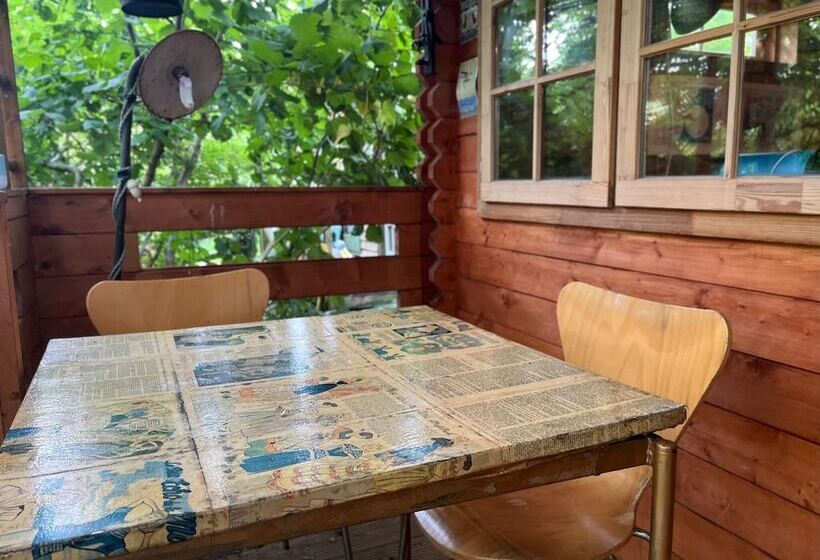 Retro Private Lodge With Hot Tub Nr Dartmoor