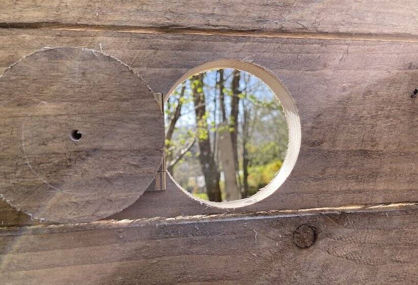 Retro Private Lodge With Hot Tub Nr Dartmoor