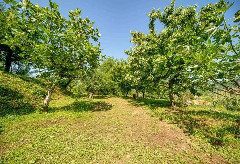 تختخواب و صبحانه Ethno House Osobak