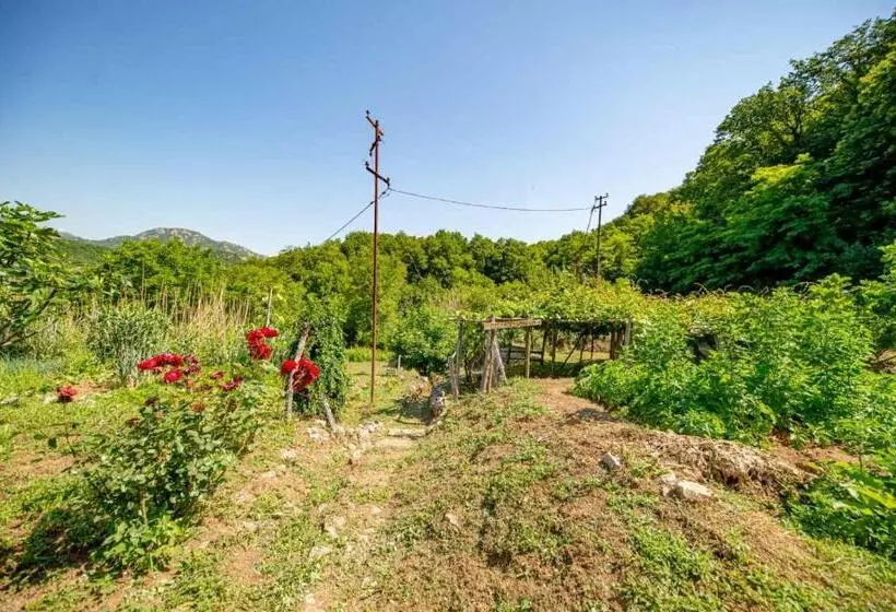 تختخواب و صبحانه Ethno House Osobak