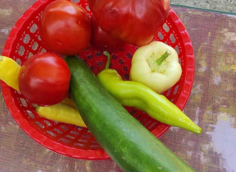 تختخواب و صبحانه Ethno House Osobak