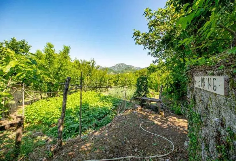 تختخواب و صبحانه Ethno House Osobak