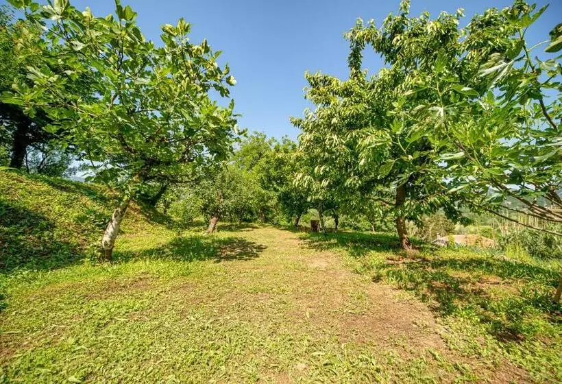 تختخواب و صبحانه Ethno House Osobak