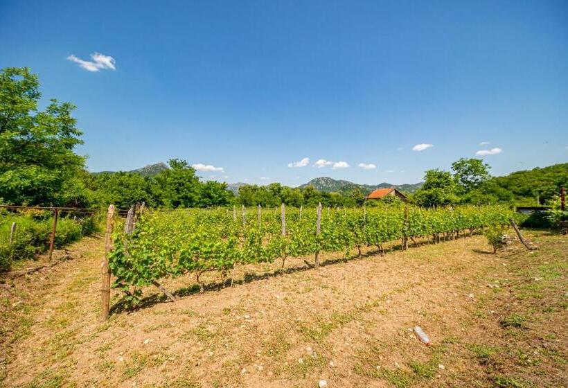 تختخواب و صبحانه Ethno House Osobak