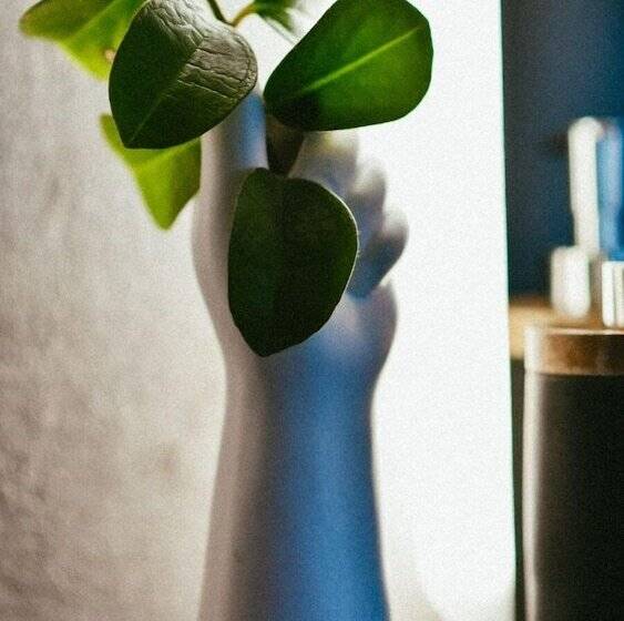 Bed and Breakfast The Enlightened House Luxury Suites