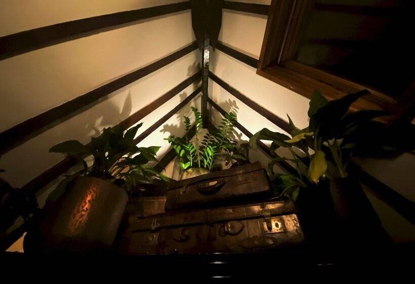 Bed and Breakfast The Enlightened House Luxury Suites