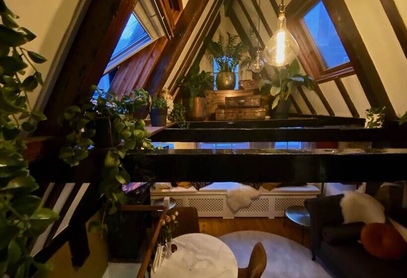 Bed and Breakfast The Enlightened House Luxury Suites