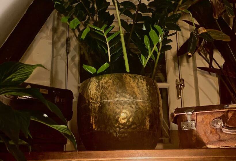 Bed and Breakfast The Enlightened House Luxury Suites