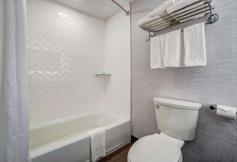 Отель Holiday Inn Gatineau   Ottawa, An Ihg