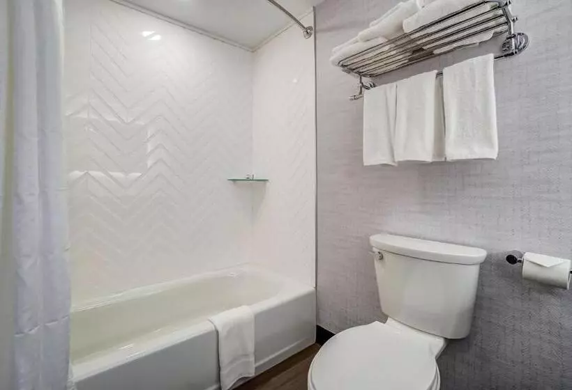 ホテル Holiday Inn Gatineau   Ottawa, An Ihg