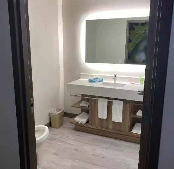 Hotelli Wyndham Garden Orlando Airport   Free Airport Shuttle