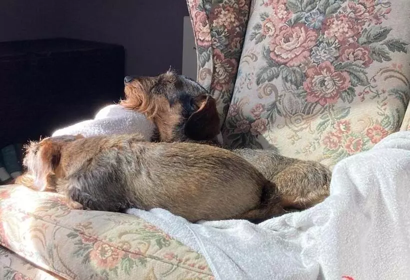 Noi Due   Bed & Breakfast Nel Monferrato