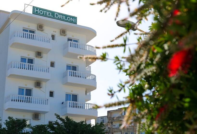 Отель Driloni