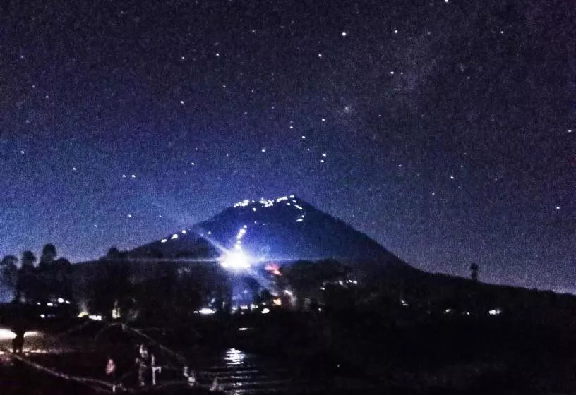 ペンション Bali Cottages Lake View