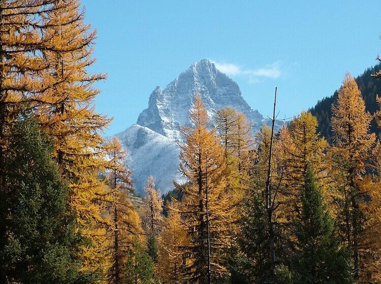 فندق صغير Glacier Haven Inn